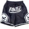 Painful clothing -  limited  EMBROIDERED basket short