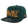 Owl Catcher snapback hat