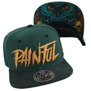 Owl Catcher snapback hat