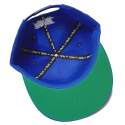 Trash logo Snapback