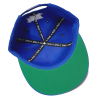 Painful clothing - Trash logo royal blue snapback